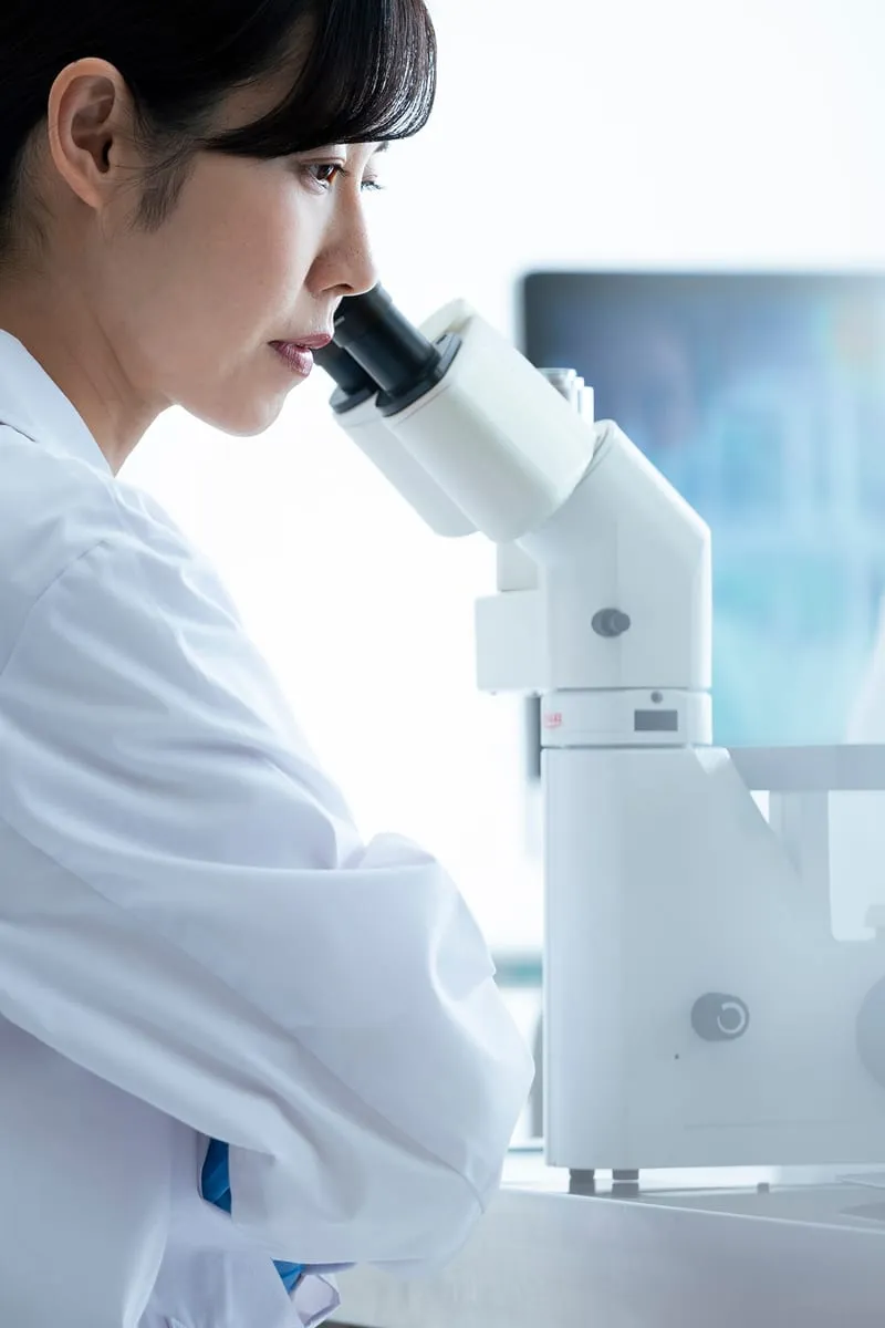 knoell Germany: Regulatorische Projekte weltweit mit Nuclos steuern